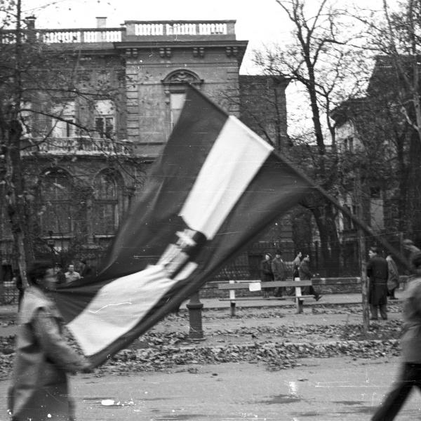 Titelbild: Chronik der ungarischen Revolution